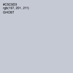 #C5C9D3 - Ghost Color Image