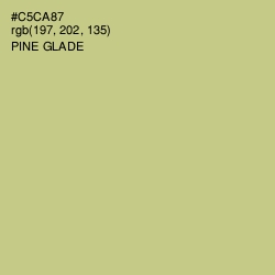 #C5CA87 - Pine Glade Color Image