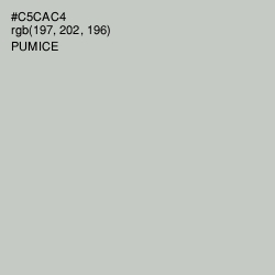 #C5CAC4 - Pumice Color Image