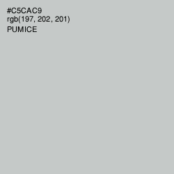#C5CAC9 - Pumice Color Image