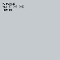 #C5CACE - Pumice Color Image