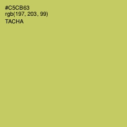 #C5CB63 - Tacha Color Image