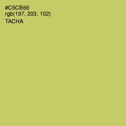 #C5CB66 - Tacha Color Image