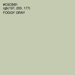 #C5CBB1 - Foggy Gray Color Image