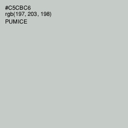 #C5CBC6 - Pumice Color Image