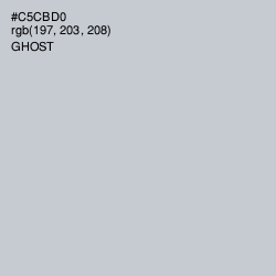 #C5CBD0 - Ghost Color Image