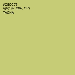 #C5CC75 - Tacha Color Image