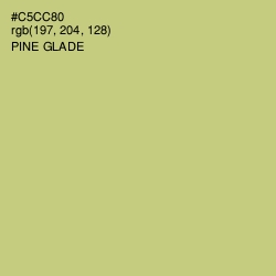 #C5CC80 - Pine Glade Color Image