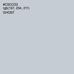 #C5CCD3 - Ghost Color Image