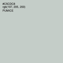 #C5CDC8 - Pumice Color Image