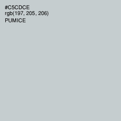 #C5CDCE - Pumice Color Image