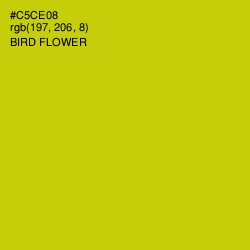 #C5CE08 - Bird Flower Color Image