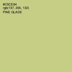 #C5CE84 - Pine Glade Color Image