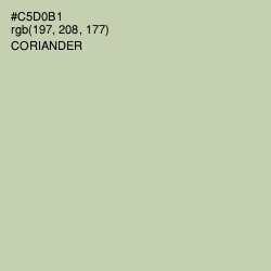 #C5D0B1 - Coriander Color Image