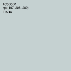 #C5D0D1 - Tiara Color Image