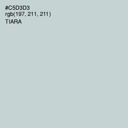 #C5D3D3 - Tiara Color Image