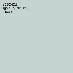 #C5D4D2 - Tiara Color Image