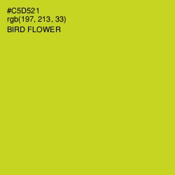 #C5D521 - Bird Flower Color Image