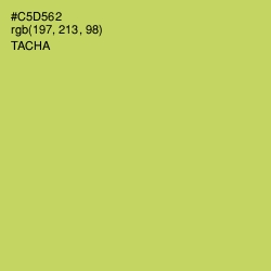 #C5D562 - Tacha Color Image