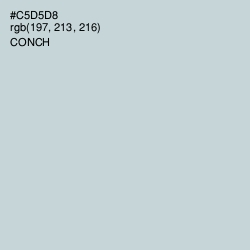 #C5D5D8 - Conch Color Image