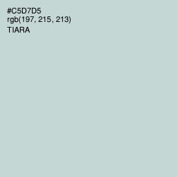 #C5D7D5 - Tiara Color Image