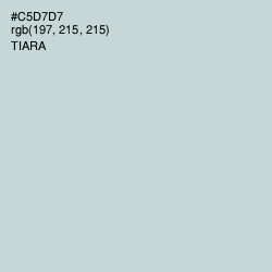 #C5D7D7 - Tiara Color Image