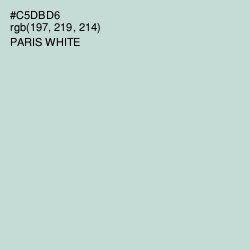 #C5DBD6 - Paris White Color Image