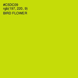 #C5DC09 - Bird Flower Color Image