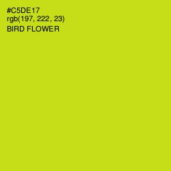 #C5DE17 - Bird Flower Color Image