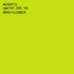 #C5DF13 - Bird Flower Color Image