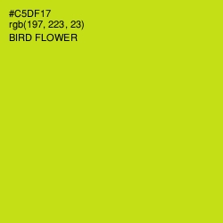 #C5DF17 - Bird Flower Color Image