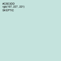 #C5E3DD - Skeptic Color Image