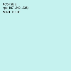 #C5F2EE - Mint Tulip Color Image