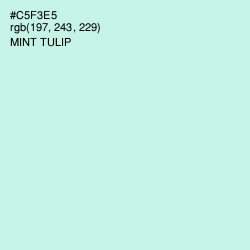 #C5F3E5 - Mint Tulip Color Image