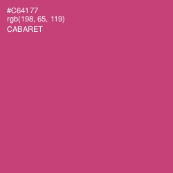 #C64177 - Cabaret Color Image