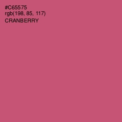 #C65575 - Cranberry Color Image