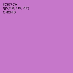 #C677CA - Orchid Color Image