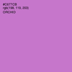 #C677CB - Orchid Color Image