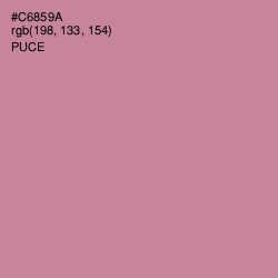 #C6859A - Puce Color Image