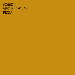 #C68D11 - Pizza Color Image