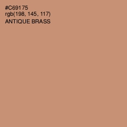 #C69175 - Antique Brass Color Image