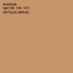 #C6956B - Antique Brass Color Image
