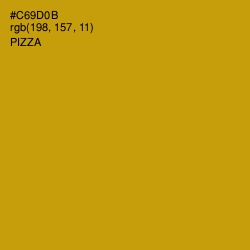 #C69D0B - Pizza Color Image