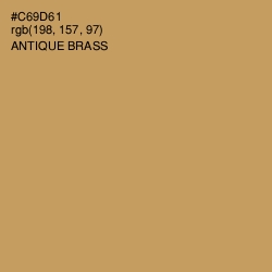 #C69D61 - Antique Brass Color Image