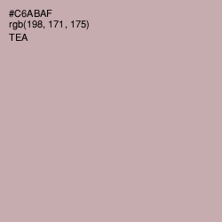 #C6ABAF - Tea Color Image