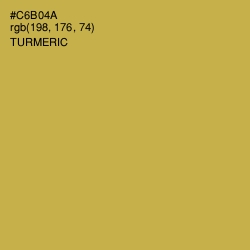 #C6B04A - Turmeric Color Image