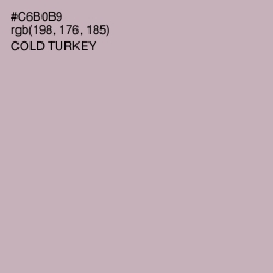 #C6B0B9 - Cold Turkey Color Image