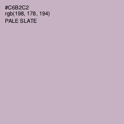 #C6B2C2 - Pale Slate Color Image