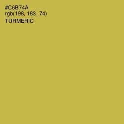 #C6B74A - Turmeric Color Image