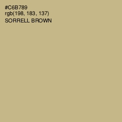 #C6B789 - Sorrell Brown Color Image